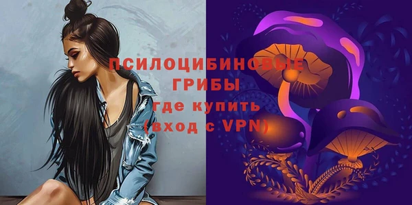 ПСИЛОЦИБИНОВЫЕ ГРИБЫ Алексеевка