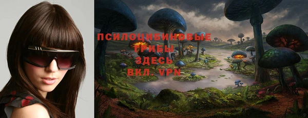 ПСИЛОЦИБИНОВЫЕ ГРИБЫ Алексеевка